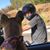 Joe Fiske's profile image