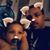 Ramon L Taylor's profile image