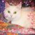 Keri Taulman's profile image