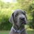 Marilyn Williams's profile image