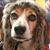 Maureen Kelley's profile image
