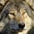 Timothy Hill's profile image