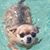 Amanda Moran's profile image