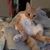 Lynn Spanbauer Stone's profile image