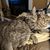 Mary Kay Kreiter's profile image