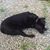 Christopher Kidd's profile image