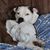 Kristin Stelljes's profile image