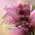 Sandra P. Rodriguez's profile image