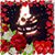 Mary Ann Tichy Isbitski's profile image