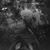 Nicole Carabine Schatteman's profile image