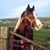 Brandy Luitze's profile image