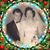 Donna M DeWitt's profile image