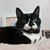 Susan Fleishman Theriault's profile image