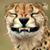 John T Anderson's profile image