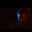 Carey Wolff's profile image