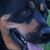 Linda Geary Reader's profile image
