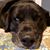 Michel Elizabeth Mattice's profile image