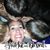 Alina Kelly's profile image