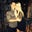 Brianna Milko's profile image