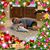 Shannan Wierzbicki's profile image