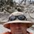 Bryan Deal's profile image