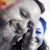 Michall Alexander-Shampine's profile image