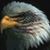 Christie Baumann's profile image