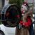 Lida Morgenroth's profile image