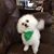Peggy DeRoussel Dronet's profile image