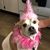 Dawn White's profile image