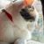 Lois Sparbel's profile image