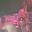 Dave Constable's profile image