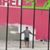 Dylan Mendenhall's profile image