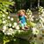 Shellie Mathews's profile image