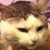 Barb Dixon's profile image