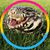 Jessica Botia Shea's profile image