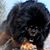 Manny Daskal's profile image