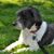 Sue Monsey's profile image