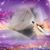 Cuc Chau's profile image