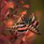 Melinda Nix's profile image