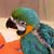 Kevin Miller Sr.'s profile image