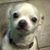 Debra Mcpherson's profile image