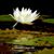 Maria Mannex's profile image