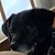 Timothy Kramnic-Woodworth's profile image