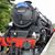N.C. Young's profile image