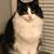 Barbara Ann Kight's profile image
