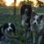 Mary Goodlet Garbett's profile image