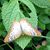 Margie Woodford's profile image