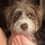 Susan Horahan's profile image