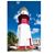 Phyllis Bernius's profile image